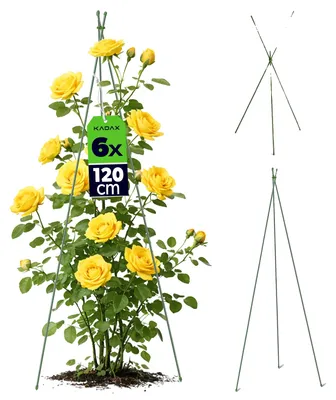 Image de Support pour plantes, structure durable en métal et en plastique, polyvalente pour une utilisation dans les jardins et les serres, idéale pour les plantes grimpantes