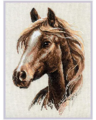 Obrázok produktu pre Sada na výšivku "Stolzer Geist" od spoločnosti Riolis, technika krížikové výšivky, schéma na počítanie, rozmer 30x40 cm