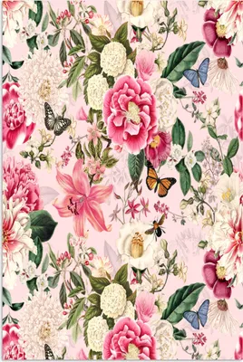 Produktbild von MuchoWow® Poster Blumen - Schmetterlinge - Hortensie 60x90 cm - Wanddekoration