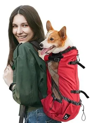 Zdjęcie produktu dla Plecak nosidło dla psa regulowane oddychające m 4 9 kg