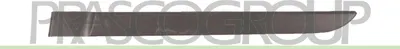 Produktbild von PRASCO Zierleiste für die Tür Hinten Links Leiste für RENAULT MEGANE II (BM0/1, CM0/1) RN4201454
