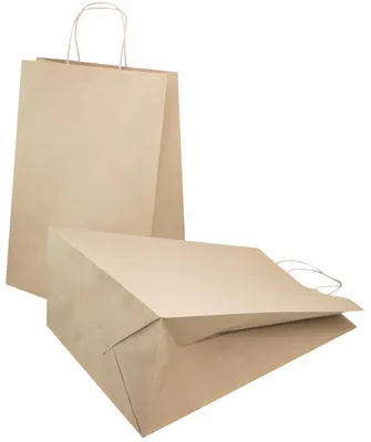 Obrázek produktu pro Allbag Hnědé papírové tašky 30x17x42 cm 10 ks nákupní dárkové