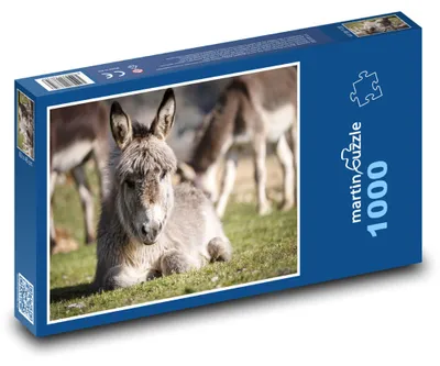 Obrázek produktu pro Puzzle 1000 Osel na louce - martinpuzzle