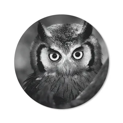 Produktbild von MuchoWow® Mauspad Mousepad Vogel - Eule - Porträt - Schwarz - Weiß 40x40 cm - Mousepads - Maus Mat - Pad - Mausunterlage - Schreibtisch Accessoires