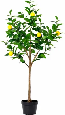 Obrázek produktu pro Umelá rostlina citroník 150cm - umelý citroník - realistické listy a vzhled