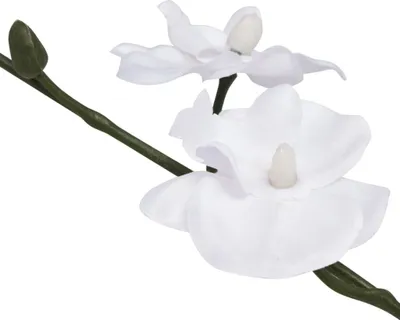 Immagine prodotto di Orchidea Artificiale con Vaso 30 cm Bianca
