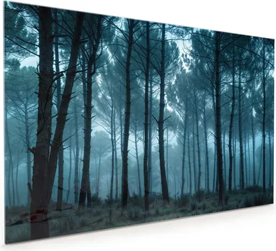 Produktbild von Küchenrückwand Spritzschutz Glas mit Motiv Nebeliger Wald 40 x 40 cm