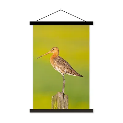 Produktbild von MuchoWow® Textilposter Vogel - Tiere - Uferschnepfe - Pfahl - Grün 120x180 cm mit schwarzem Rahmen - Fotos