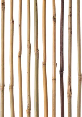 Image de Tuteurs en bambou - Supports pour plantes grimpantes - 120 cm - Ø 12-14 mm - 10 pièces - Naturel