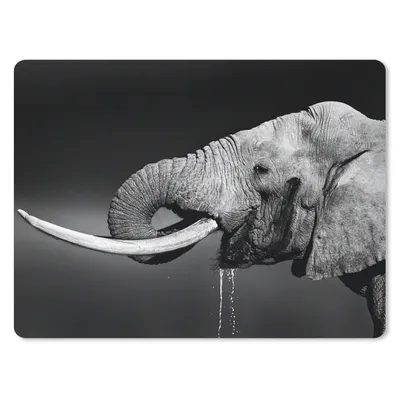 Produktbild von MuchoWow® Mauspad Mousepad Elefant - Wasser - Tiere - Schwarz - Weiß 40x30 cm - Mousepads - Maus Mat - Pad - Mausunterlage - Anti Rutsch