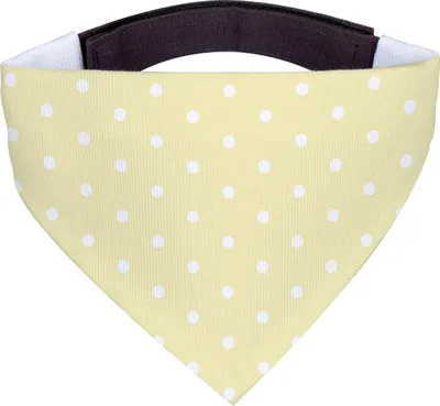 Produktbild von Mr. & Mrs. Panda Bandana Waschbär - Gelb Pastell - Geschenk, Hunde Halstuch, Hals Tuch, Fröhlich, Seifenblasen, Plan, für, Waschen, Tagträumen, Lustige Sprüche, Hund