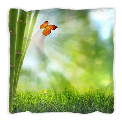 Produktbild von Wallario Premium Kissen, weiche Oberfläche, mit Motiv Schmetterling im Grünen mit Bambus, Größe: 60 x 60 cm, mit weißer Rückseite