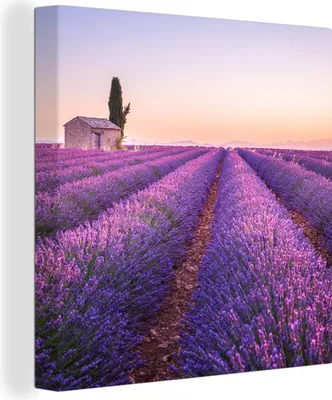 Produktbild von OneMillionCanvasses® - Leinwandbilder - Bild auf Leinwand Wandbild Leinwandbild Lavendel - Sonnenuntergang - Lila - Blumen, 90x90 cm, Kunstdruck Wandkunst Gemälde auf Holzrahmen - Malereien - Wandschmuckes