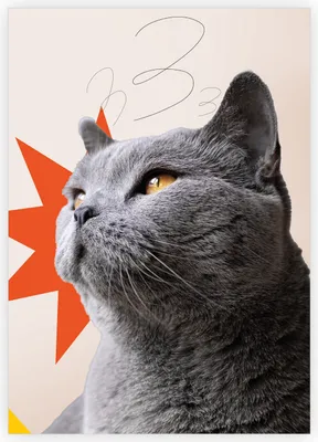Produktbild von Stylische Katzen Grußkarte im Retro Collagen Stil - Designer Klappkarten Motiv