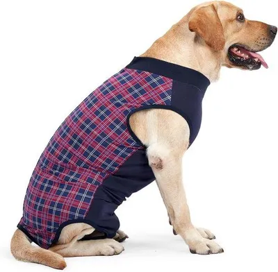 Produktbild von Schutzkleidung für Hunde, nach Operation, S