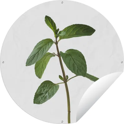 Produktbild von MuchoWow®