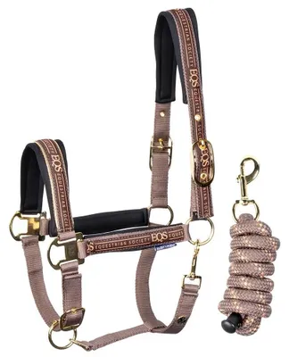 Image de Harry's Horse Equestrian Society : licol et longe marron Cob marron Cob