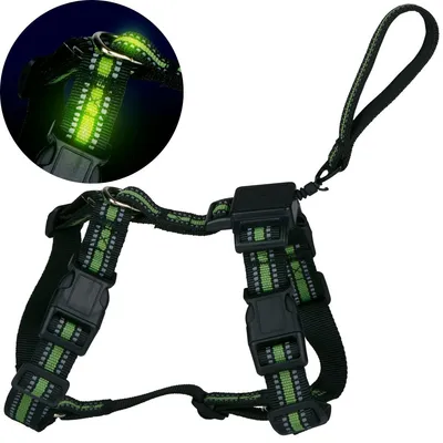 Produktbild von Hundegeschirr Small 42 bis 53 cm mit Reflektorband und Leine