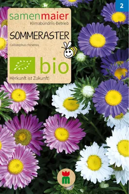 Produktbild von Sommeraster Mischung - Saatgut für zirka 50 Pflanzen
