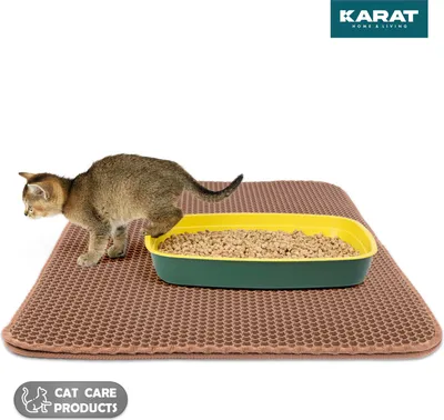 Produktbild von Katzenstreumatte Charly Doppelschichtiges Waben-Design 76 x 61 cm Braun