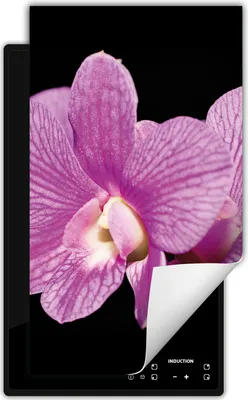 Produktbild von DarHaus Herdabdeckplatte 1 teilig 30x52 cm Anti Rutsch Matte Aufrollbar, schwarz - Blume