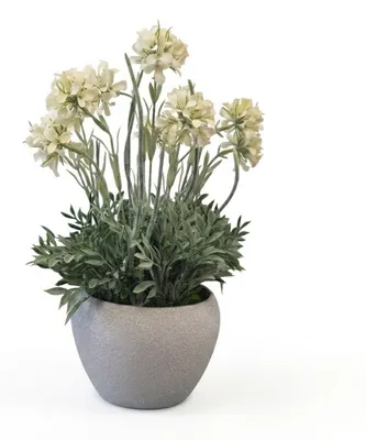 Produktbild von Künstliche Nachtviole im Keramiktopf, Kunstpflanze wie echt, dekorative Blumendeko im Topf, Frühlingsdeko & Sommerdeko Innen & Außen Weiß