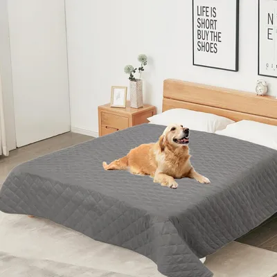 Wasserdichte Hundedecke, waschbar, 137x208 cm, für Hunde & Katzen