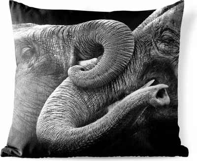 Produktbild von MuchoWow® Outdoor Kissen - Elefant - Tiere - Schwarz - Weiß - 45x45 cm - Wetterfest - Lounge Kissen - Fotokissen - Dekoratives Kissen