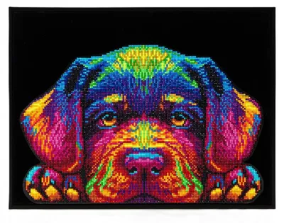 Zdjęcie produktu dla Diamond Dotz Zestaw do haftu diamentowego Neon Puppy 45,7x35,5 cm