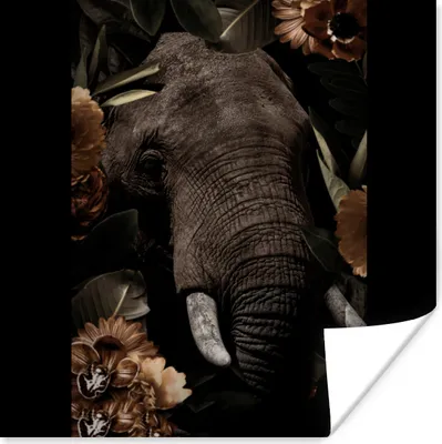 Produktbild von MuchoWow® Poster Elefant - Tiere - Blumen - Blätter 50x50 cm - Wohnzimmerdekoration