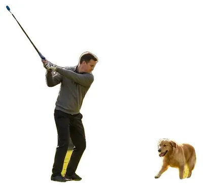 Productafbeelding van Golfswingtrainer, verstelbare lengte, lichtgewicht ontwerp, FXCIJIYE84R1E0