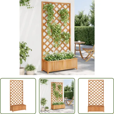 Obrázok produktu pre The Living Store Kvetináč s mriežkou Hnedá jedľa z masívneho dreva