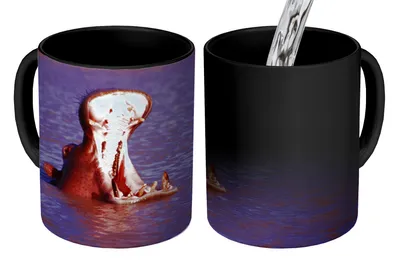 Obrázek produktu pro MuchoWow® Kouzelný pohár Hroch - voda - zobák 350 ml Barva měnící se pohár Dárkový nápad - foto hrnek
