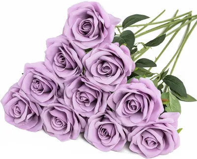 Immagine prodotto di Fiori artificiali rosa - Set da 10 - Rose in seta, alte 54 cm - Stelo lungo - Fiori artificiali - Ideali per matrimoni