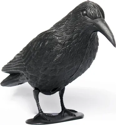 Produktbild von Vogelschreck 3D Plastikmodell Rabe 38 cm schwarz