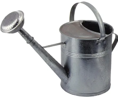 Produktbild von E-Flor Gießkanne aus verz. Blech10 l