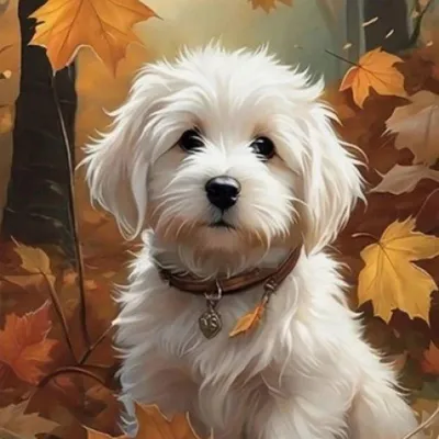Productafbeelding van Schilderij op nummer: Maltese hond in de herfst, 50x40 cm, op canvas, creatief