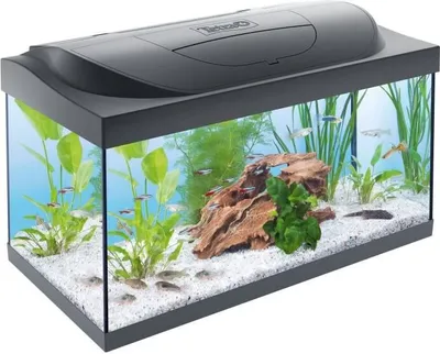 Produktbild von Neu Tetra Starter Line 54 L Aquarium Komplett-Set mit LED-Beleuchtung schwarz