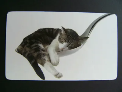 Produktbild von Frühstücksbrettchen Katze mit Löffel, Brettchen 23x14cm Katzen Kätzchen Kater Brett Haustiere