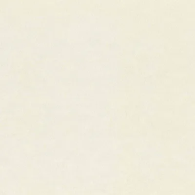 Produktbild von Vliestapete 420616 Tapete Uni Einfarbig 53 x 1005 cm Rasch Saphira Beige