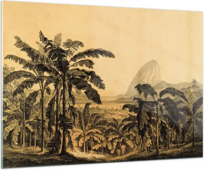 Produktbild von Bilder auf glas - Einteilig - Palmen Wald Regnerisch - 100x70cm - Glasbilder - Wandbilder - Bilder - zum Aufhängen bereit - Wanddekoration aus Glas - Glas Bilder - Wandbild auf Glas - GAA100x70-4983