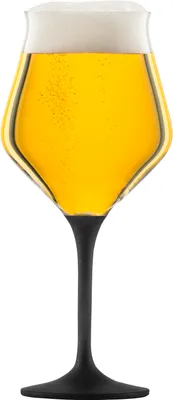 Produktbild von Eisch Bierkelch 203/11 Craft Beer Experts Black