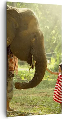 Produktbild von Bild auf Leinwand - Leinwandbild - Elefant Tier - 65x120cm - Wand Bild - Wanddeko - Wandbilder - Leinwanddruck - Bilder - Kunstdruck - Wanddekoration - Leinwand bilder - Wandkunst - PA65x120-3884