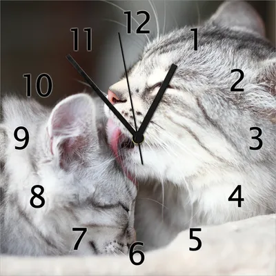 Produktbild von Wallario Design Wanduhr Süße kleine getigerte Katzenbabys aus Echtglas, Größe 30 x 30 cm