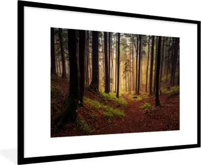Produktbild von MuchoWow® Gerahmtes Poster Bäume - Natur - Wald 90x60 cm - Poster mit Schwarzem Bilderrahmen Wandposter Rahmen Foto Bilder - Wanddekoration - Fotos