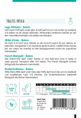Produktbild von Samen - STUDENTENBLUME 'BOLERO'