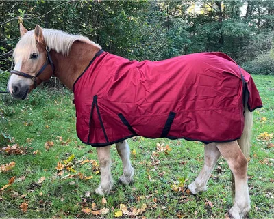 Produktbild von Outdoordecke Zara 1200D - Rot Größe (Pferdedecke) - 135 cm