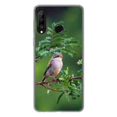 Produktbild von MuchoWow® Handyhülle Schutzhülle Hülle für Huawei P30 Lite Vogel - Baum - Wald Silikon Softcase Handy Hülle - Handyhülle