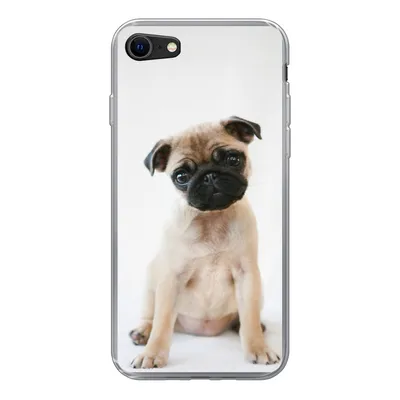 Produktbild von MuchoWow® Handyhülle Schutzhülle Hülle für iPhone SE 2020 Hund - Haustiere - Porträt Silikon Softcase Handy Hülle - Kartenbesitzer