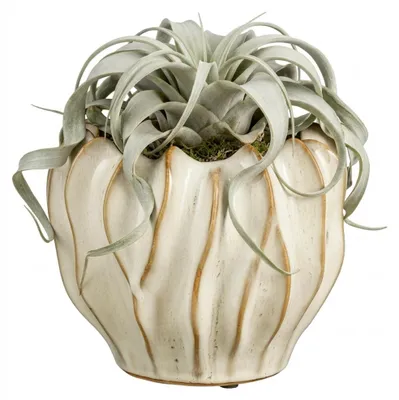 Produktbild von Mica Decorations Pflanzen-/Blumentopf Thom - cremefarben - Keramik - 25 x 31 cm